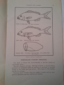 There's something about these illustrations, maybe it's the fish's expression...