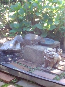 This squirrel was enjoying a drink...
